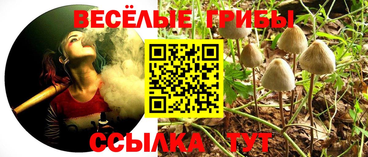 Галлюциногенные грибы ЛСД Раменское
